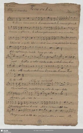 Te Deum, op.7 - Mus.4531-E-504 : V (4), Coro maschile