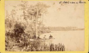 St. John´s River, Florida: Ansicht