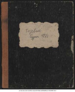 Tagebuch Cypern 1873