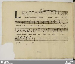 XX. Anonymus: Laudate pueri Dominum