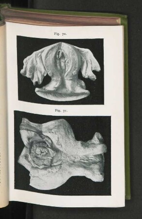 Fig. 70. Fig. 71.