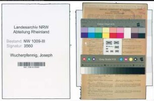 Entnazifizierung Joseph Wucherpfennig , geb. 03.04.1900 (Kreisinspektor)