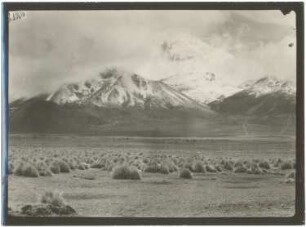 Nevado Sajama vom Becken von Sajama aus gesehen