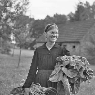 Bäuerin in Spreewälder Alltagstracht bei der Gemüseernte. : Burowka w Błótowskej wšědnej drasće při žnjach zeleniny.
