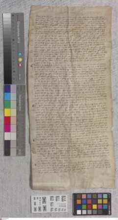 Hainer Hof: Testat et eorum dicta ratione pasonae dictae .... ? Wasen