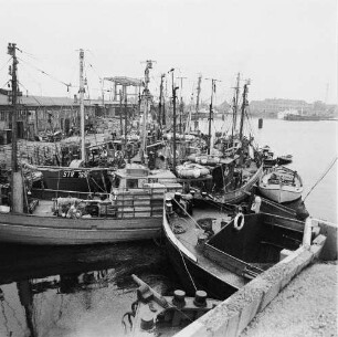 Fischereigenossenschaft Stralsund (FGS). Fischkutter im Hafen