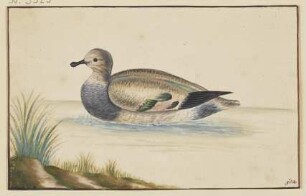 Ente nach links