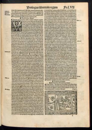 Incipit liber Samuelis primus.