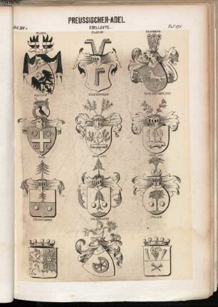 Taf. 173. Flans. - Flatow. - Flemming. - Flotow. - Fock-Brucken. - Fock-Brucken (And). - Fock. - Fock (And). - Fock (And). - Folgersberg. - Fölkersamb. - Foller