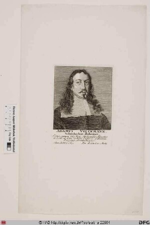 Bildnis Adam Volckmann