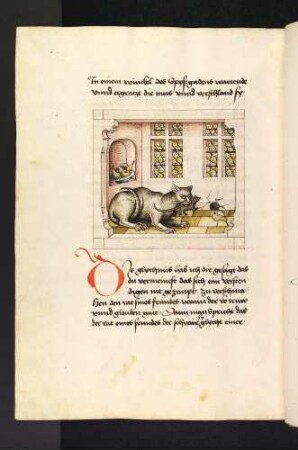 Die Katze fängt die Maus vor deren Loch;(Kapitel XVI: Von den Vögeln).