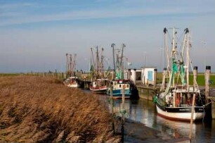 Deutschland. Niedersachsen. Spieka Neufeld. Kutterhafen bei Ebbe