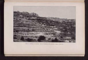 Abb. 121. Bethlehem, von Nordosten.