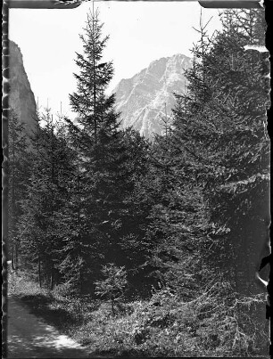 Bayern, Umgebung Königssee