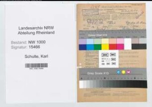 Entnazifizierung Karl Schulte, geb. 13.10.1906 (Arzt)