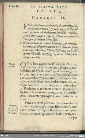 Homilia II