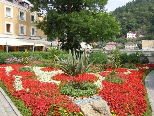 Passau - Blumenanlage : Blumenanlage in der Altstadt. Aufgenommen am 11. Juni 2011 in Passau