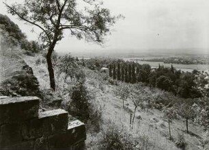 Dresden-Wachwitz, Wachwitzer Weinberg 1. Stadtteilansicht über die Elbe, den Flutgraben und Laubegast nach Leuben