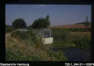 Rückhaltebecken Weiherheide, Sinstorf