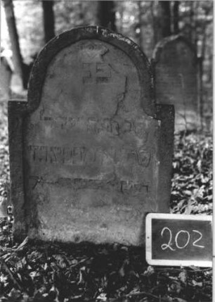 Grabstein 202 (Index: 99894767) Material: Sandstein Zustand: teilweise abgeblättert Maße HxBxT: 80x56x9 cm Beschreibung: Stele mit eingezogenem Rundbogenabschluss: Grabstein 202 (1)