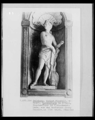 Leda