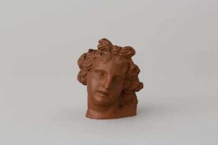 Apollokopf nach Bernini