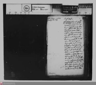 Alimentation der Prinzessinnen von Nassau-Diez, Töchter des Fürsten Heinrich Kasimir II.