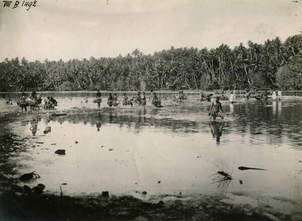 "Fischfang im Binnensee von Nauru"