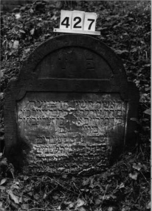 Grabstein 427 (Index: 99803692) Material: Sandstein Zustand: verwittert/eingesunken Maße HxBxT: 77x68x10 cm Beschreibung: Stele mit eingezog. Rundbogen, profilierter Rand, Giebelfeld Besonderheit: Endreim: Grabstein 427
