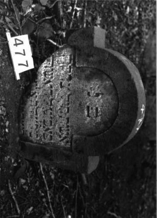 Grabstein 477 (Index: 99897166) Zustand: zerbrochen Maße HxBxT: 63x66x11 cm Beschreibung: Fragment: Grabstein 477