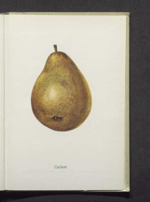 Gellert