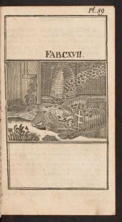 Pl. 59. Fab. CXVII.
