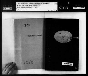 Diarien (Tagebücher)