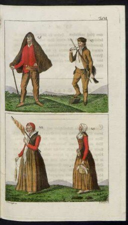 Taf. VI. Fig. 26. - 29. Die Korsen
