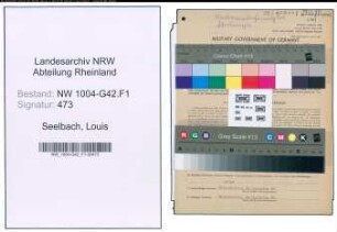Entnazifizierung Louis Seelbach , geb. 10.07.1900 (Angestellter)
