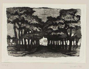 Allee II