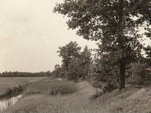 Oberlausitz. Königswarthaer Teichgebiet