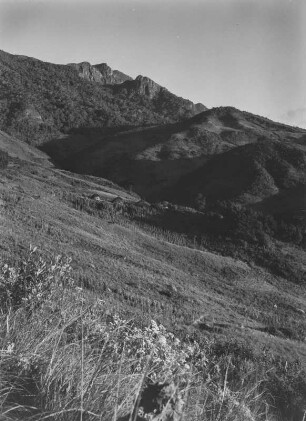 Vegetation : Vegetation an einem Abhang der Uluguru-Berge