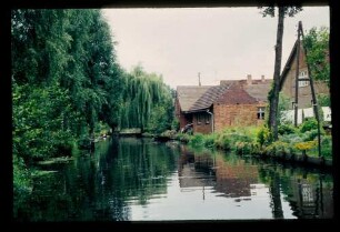 Spreewald 26.7.84.