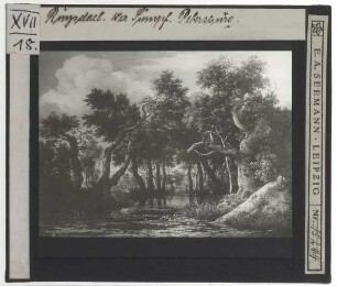 Ruisdael, Ein bewaldeter Sumpf (St. Petersburg Erem. ГЭ-934)