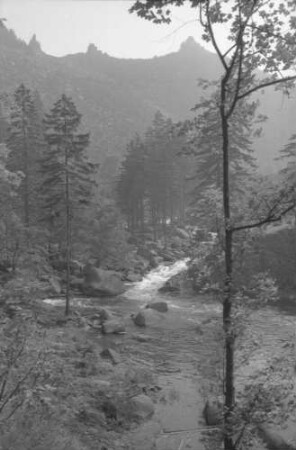 Okertal: Partie im Okertal