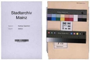 Aktennotizen über Besprechungen mit der Geheimen Staatspolizei, Außendienststelle Mainz