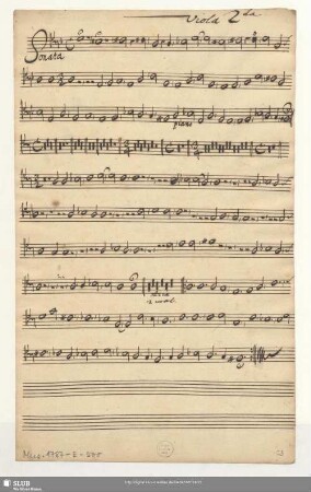 Viola 2da.