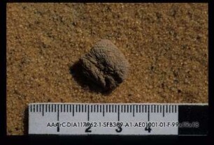 sealings - Chufu 01/01-1