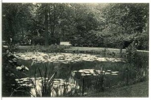 Chemnitz. Schlossteich