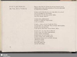Der Fluchende im Tal des Todes