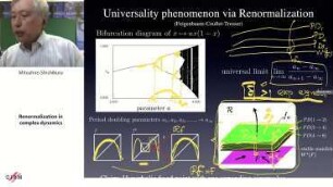 Renormalization in complex dynamics