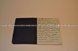 Tagebuch des Journalisten Walter Timpe während seiner Haft in der Justizvollzugsanstalt Wolfenbüttel