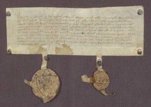Die Grafen Heinrich und Wilhelm von Eberstein teilen dem Bischof von Konstanz mit, daß sie dem Klosterreichenbach den Pfarrsatz der unteren Kirche zu Ur-Nagold geschenkt haben