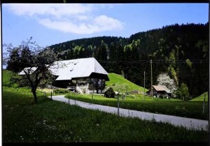 Breitnau: Schwarzwaldhof, Vordergrund Weg zum Hof
